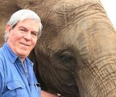mike-with-an-indian-elephant